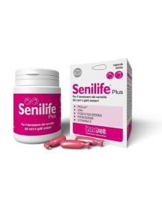 SENILIFE PLUS 60 CAPSULE