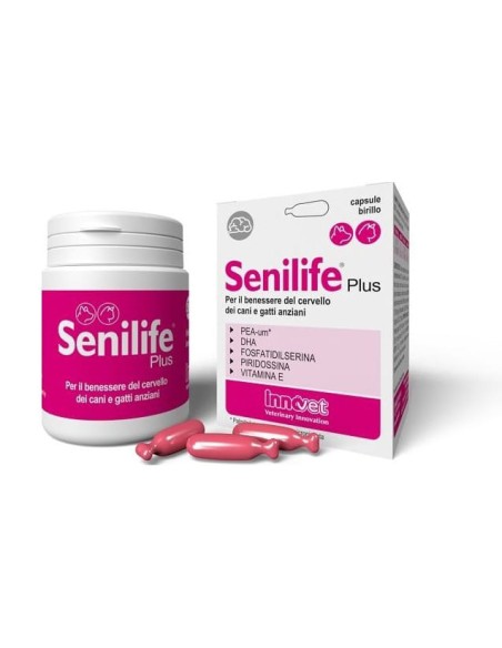 SENILIFE PLUS 60 CAPSULE