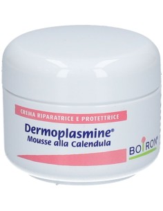 DERMOPLASMINE MOUSSE 20 G