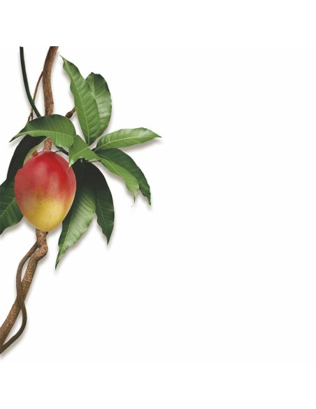 KLORANE BALSAMO AL MANGO 200 ML