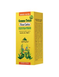 FICUS CARICA 100 ML