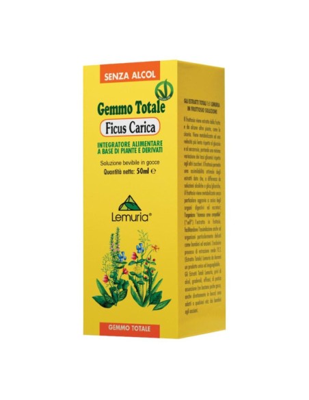 FICUS CARICA 100 ML