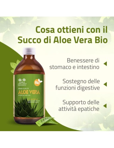 SALUGEA SUCCO ALOE VERA BIO 500 ML