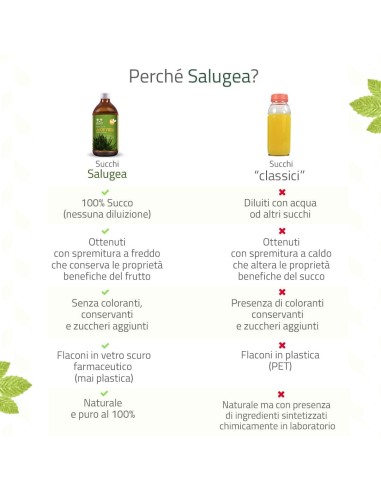 SALUGEA SUCCO ALOE VERA BIO 500 ML