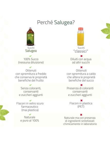 SALUGEA SUCCO ALOE VERA BIO 500 ML