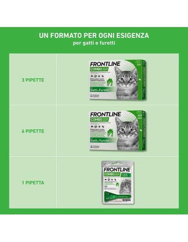 Frontline Combo Gatti x1 Pipetta, Antiparassitario per Gatti, Gattini e Furetti, Contro Pulci, Zecche, Uova, Larve e Pidocchi