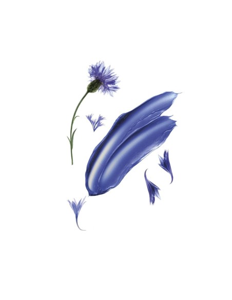 KLORANE SHAMPOO CENTAUREA 200 ML