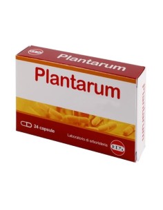 PLANTARUM 10 MILIARDI 24 CAPSULE