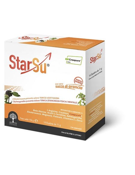 STARSU' 14 BUSTINE