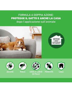 Frontline Combo Gatti x6 Pipette, Antiparassitario per Gatti, Gattini e Furetti, Contro Pulci, Zecche, Uova, Larve e Pidocchi