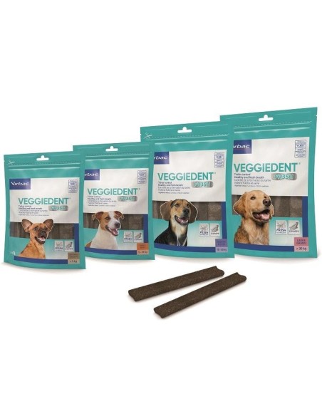 VEGGIEDENT FR3SH S 15 STICK