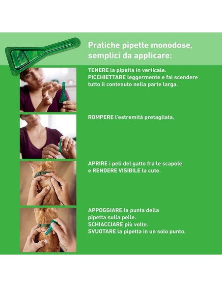 Frontline Combo Gatti x6 Pipette, Antiparassitario per Gatti, Gattini e Furetti, Contro Pulci, Zecche, Uova, Larve e Pidocchi