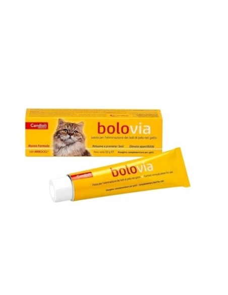 BOLO VIA PASTA GATTI 100 G