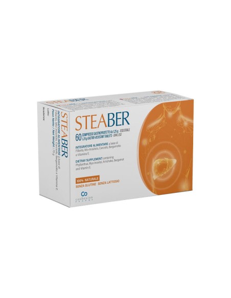 STEABER 60 COMPRESSE GASTROPROTETTE
