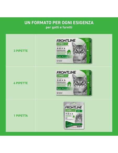 Frontline Combo Gatti x6 Pipette, Antiparassitario per Gatti, Gattini e Furetti, Contro Pulci, Zecche, Uova, Larve e Pidocchi