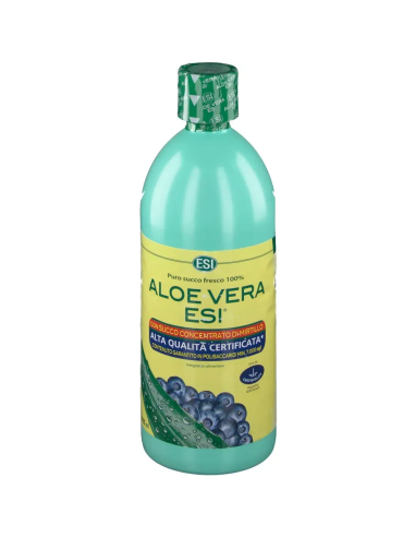 ESI ALOE VERA SUCCO MIRTILLO 1000 ML