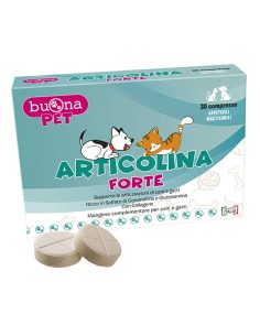 ARTICOLINA FORTE 30 COMPRESSE MASTICABILI