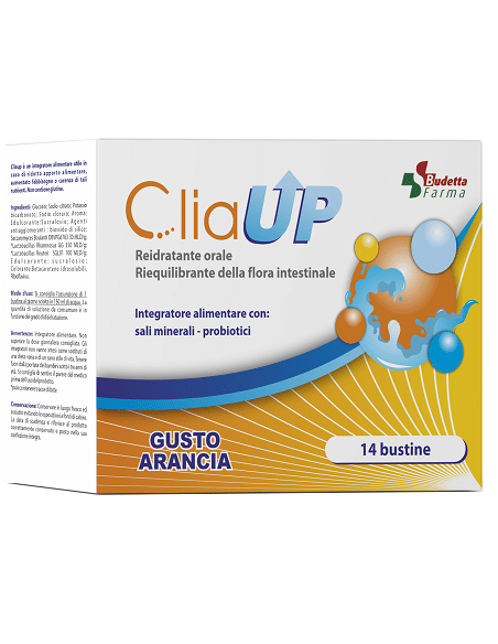 CLIAUP 14 BUSTINE