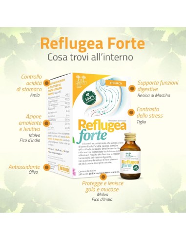 SALUGEA REFLUGEA FORTE 18 FLACONCINI DA 10 ML