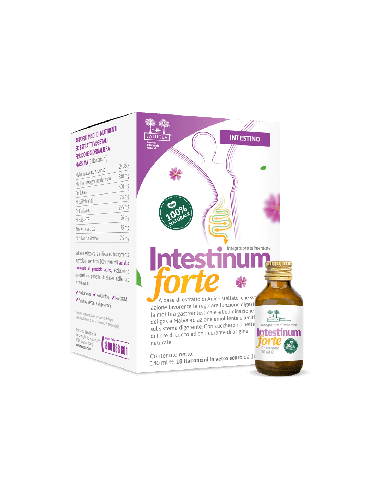 SALUGEA INTESTINUM FORTE 18 FLACONCINI DA 10 ML