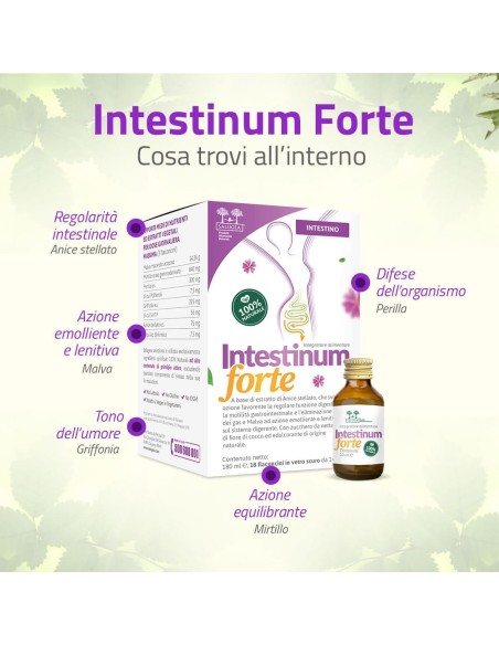 SALUGEA INTESTINUM FORTE 18 FLACONCINI DA 10 ML