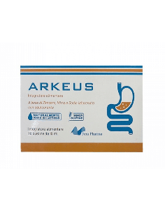 ARKEUS GEL 20 STICK PACK DA 15 ML