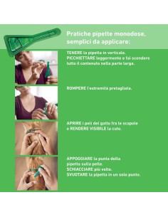 Frontline Combo Gatti x3 Pipette, Antiparassitario per Gatti, Gattini e Furetti, Contro Pulci, Zecche, Uova, Larve e Pidocchi