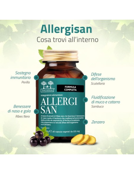 SALUGEA ALLERGISAN 60 CAPSULE