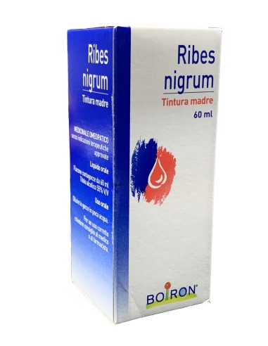 RIBES NIGRUM TINTURA MADRE 60 ML