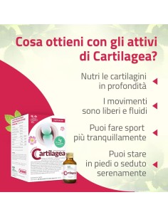 CARTILAGEA SALUGEA 18 FLACONCINI DA 12 ML 2