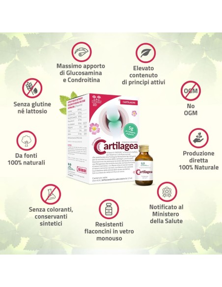 CARTILAGEA SALUGEA 18 FLACONCINI DA 12 ML