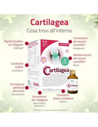 CARTILAGEA SALUGEA 18 FLACONCINI DA 12 ML