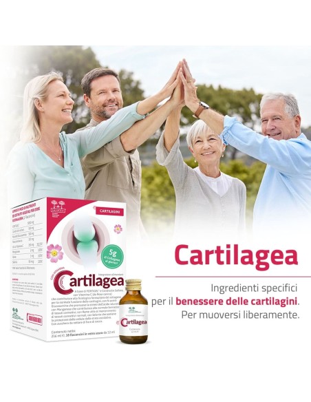 CARTILAGEA SALUGEA 18 FLACONCINI DA 12 ML