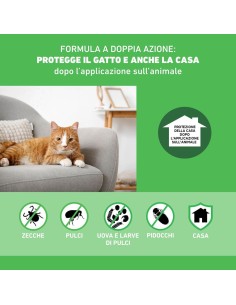 Frontline Combo Gatti x3 Pipette, Antiparassitario per Gatti, Gattini e Furetti, Contro Pulci, Zecche, Uova, Larve e Pidocchi 2