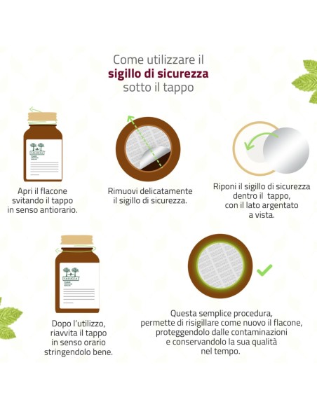 SALUGEA FERRO + B12 60 CAPSULE