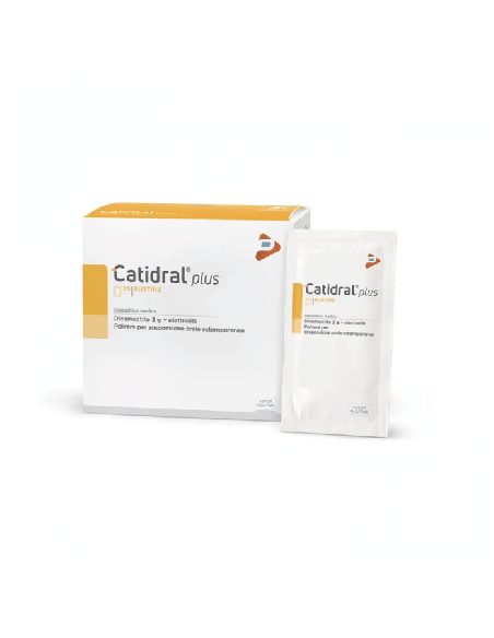 CATIDRAL PLUS 12 BUSTINE