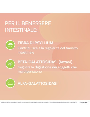 ONLIGOL FIBRE PESCA 20 BUSTINE