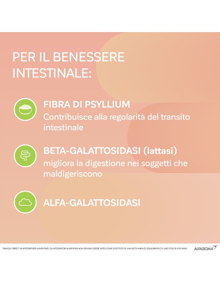 ONLIGOL FIBRE PESCA 20 BUSTINE