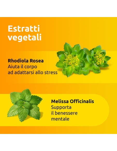 SUPRADYN RICARICA NO STRESS 20 BUSTINE