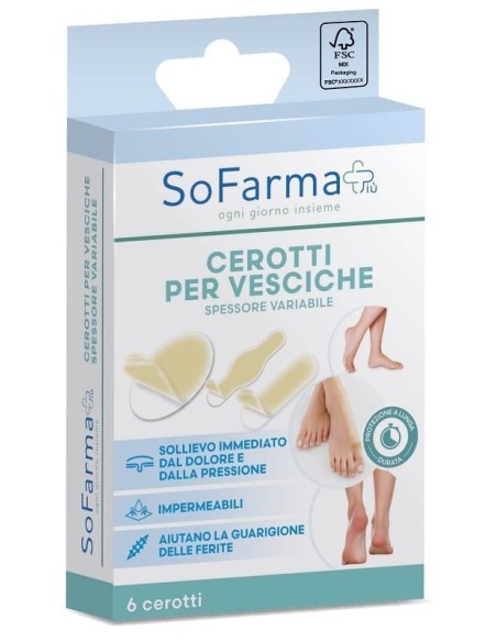 CEROTTO VESCICA ASSORTITI 6 PEZZI SOFARMAPIU'