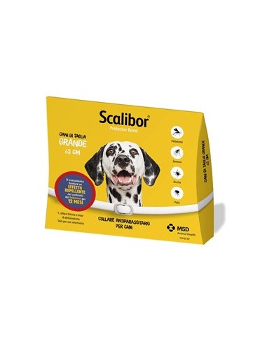 SCALIBOR PROTECTOR BAND*BI65CM