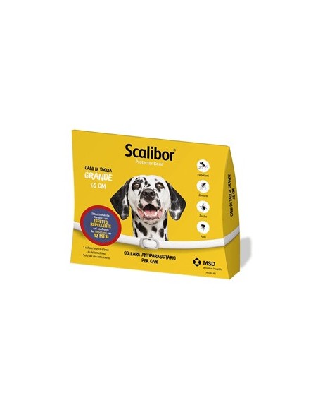 SCALIBOR PROTECTOR BAND*BI65CM