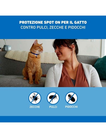 Frontline Spot On Gatti x3 Pipette, Antiparassitario per Gatti e Gattini, Contro Zecche, Pulci e Pidocchi