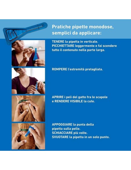 Frontline Spot On Gatti x3 Pipette, Antiparassitario per Gatti e Gattini, Contro Zecche, Pulci e Pidocchi