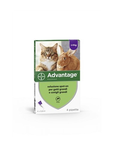 ADVANTAGE 4 pipette 0,8 ml spot-on