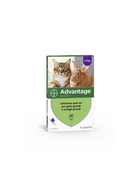 ADVANTAGE 4 pipette 0,8 ml spot-on