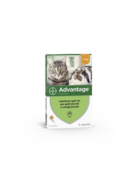 ADVANTAGE 4 pipette 0,4 ml spot-on