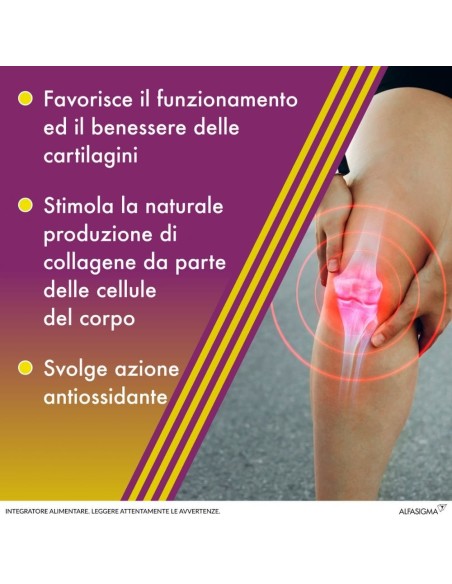 AMEDIAL PLUS 20 BUSTINE 5 G