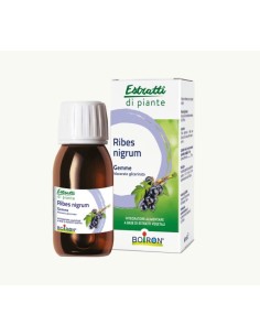 RIBES NIGRUM BOIRON MACERATO GLICERICO 60 ML