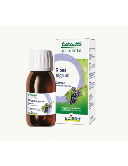 RIBES NIGRUM BOIRON MACERATO GLICERICO 60 ML